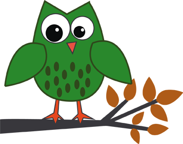 Kids carpet green owl on a branch - TenStickers