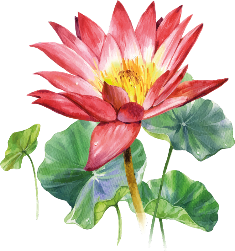 Bedroom carpet lotus watercolor illusion - TenStickers