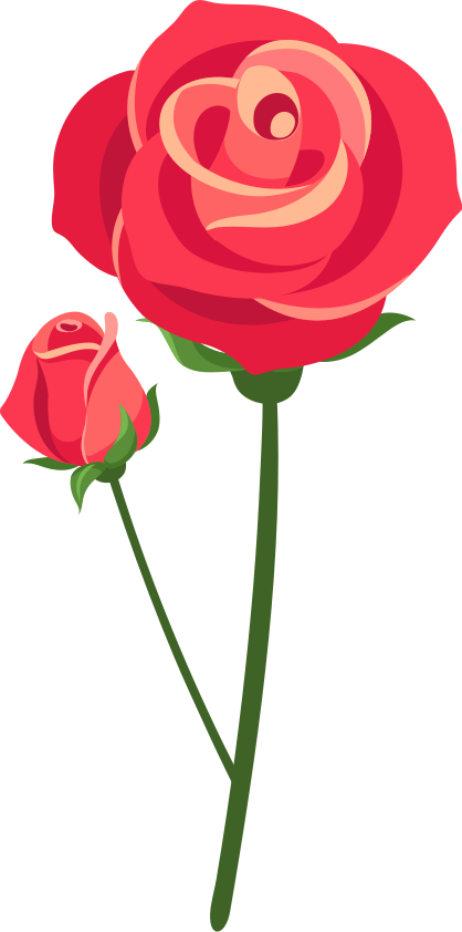 Bedroom carpet with 3d rose design - TenStickers