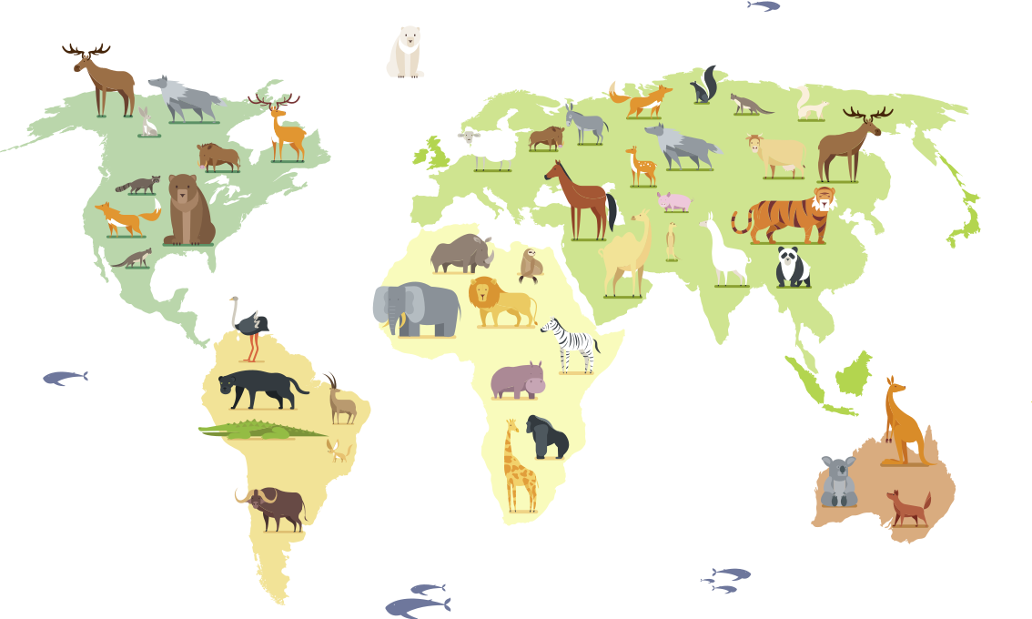 Bedroom carpet featuring colorful animals worldwide - TenStickers