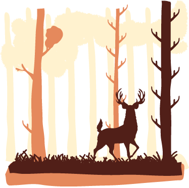 Bedroom carpet forest and deer design - TenStickers