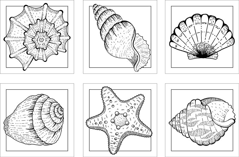 Bathroom mat with marine life and seashells design - TenStickers