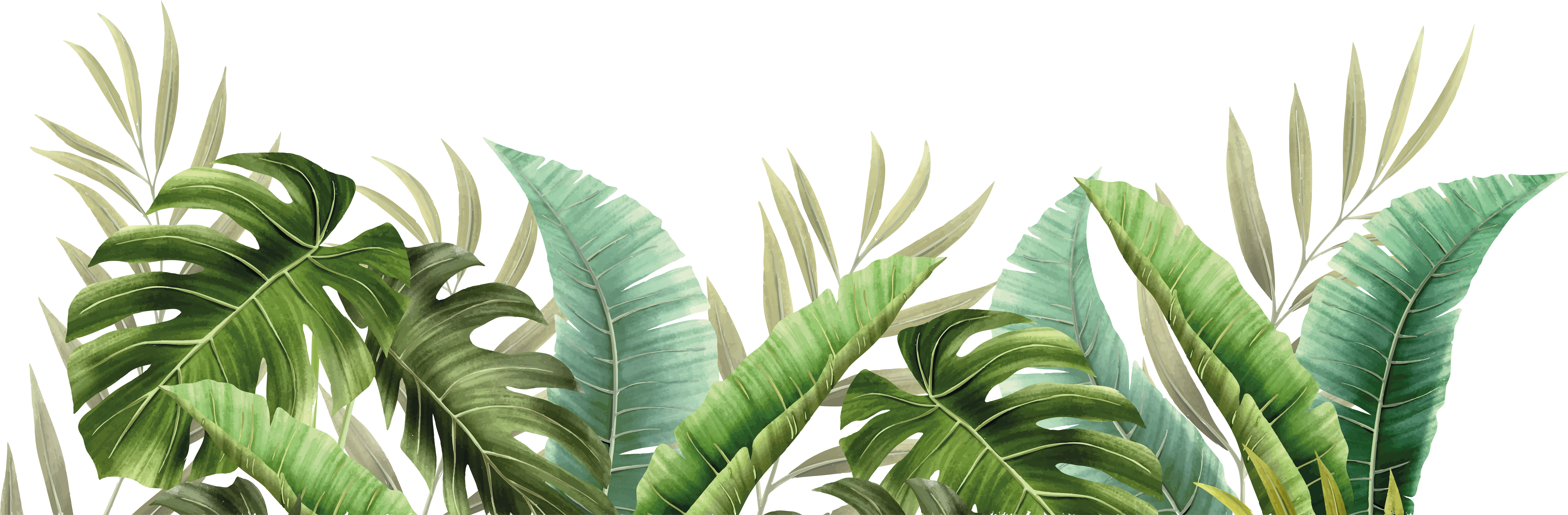 Tropical plants bathroom mat - TenStickers