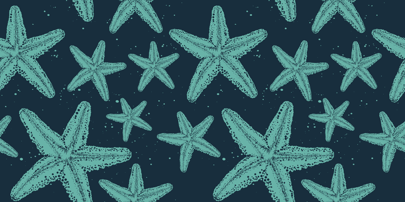 Bathroom mat in starfish bluetones design - TenStickers