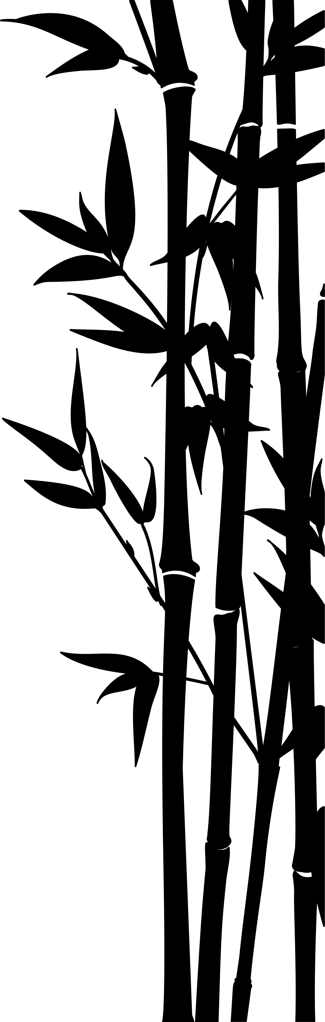 Bathroom mat bamboo shower screen decal - TenStickers