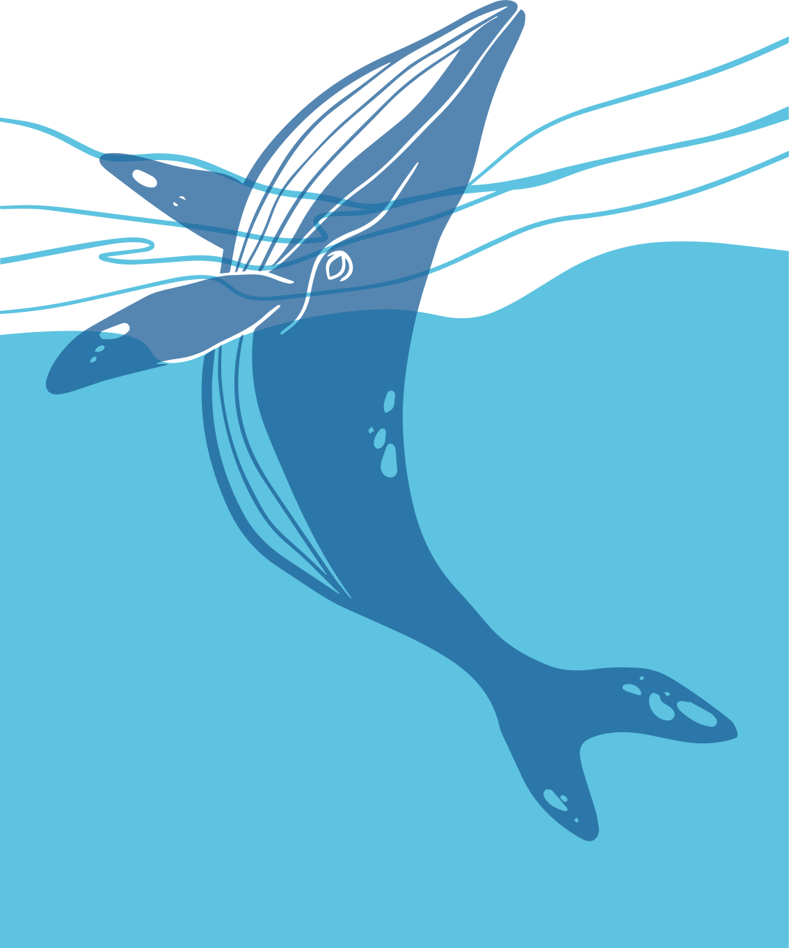 Bathroom mat whale shower screen decals - TenStickers