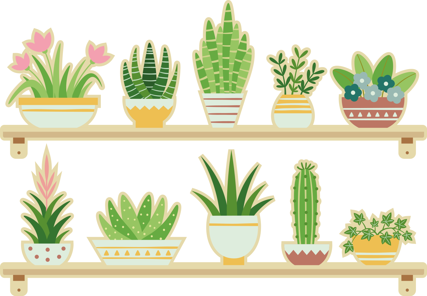 Kitchen vinyl mat cactus plant shelf set - TenStickers