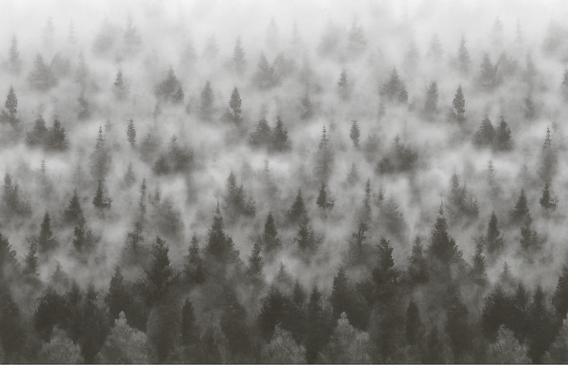 Bedroom carpet 3d foggy mysterious mountain - TenStickers