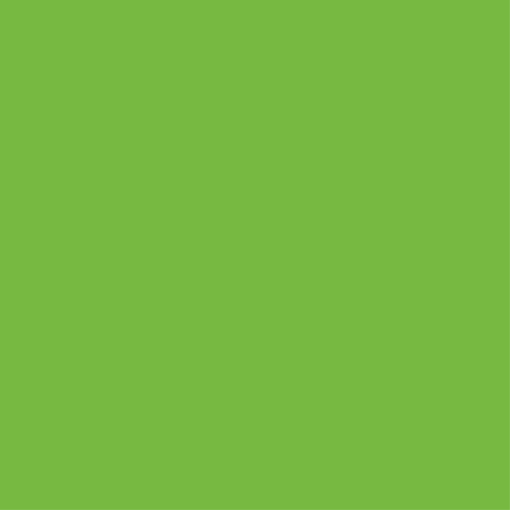 Bedroom carpet green cover for wardrobe - TenStickers