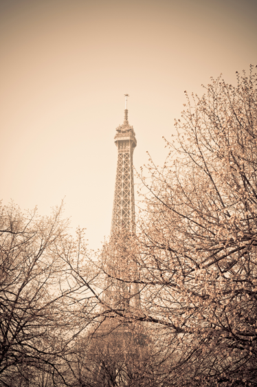 Bedroom carpet eiffel tower trees vinyl photo - TenStickers
