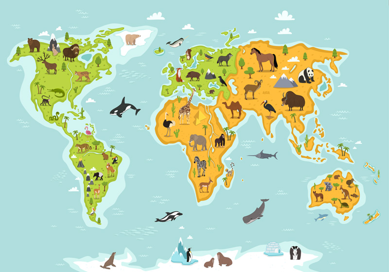 Map rug world map with flora and fauna design - TenStickers