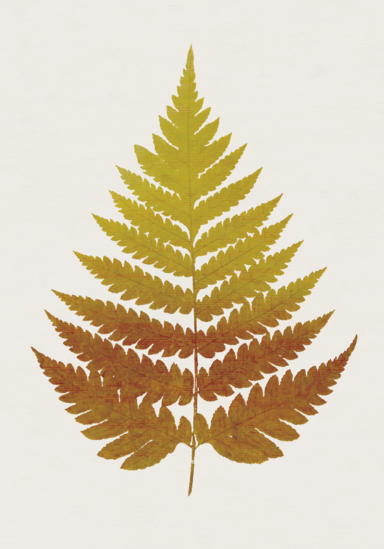 Floral rug with golden fern leaf design - TenStickers