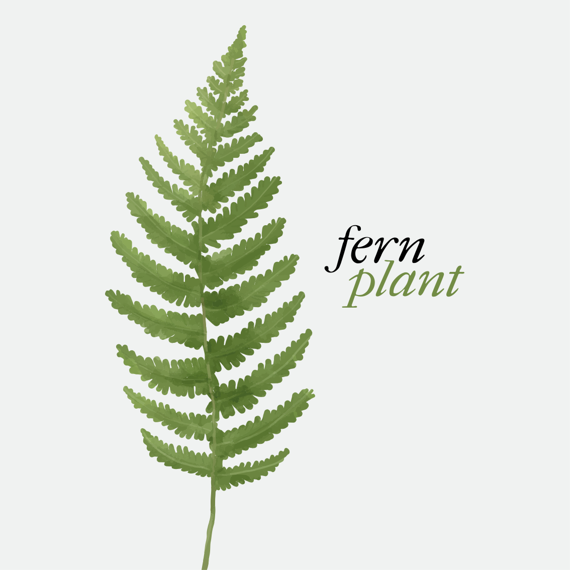 Quote rug fern plant minimalist style print 2 - TenStickers