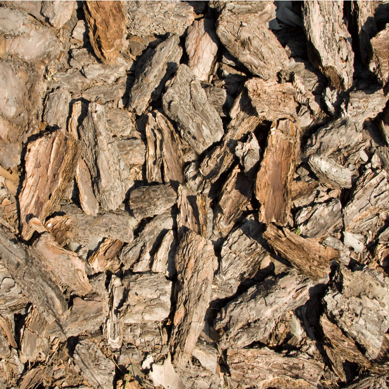Entrance hall rug in brown rustic tree bark - TenStickers