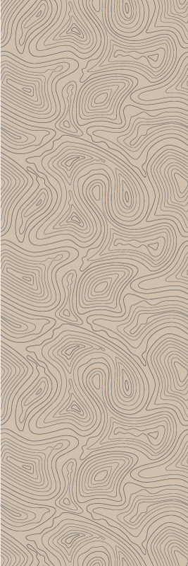 Beige rug in taupe topographic design - TenStickers