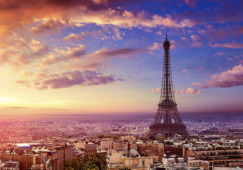 Purple rug with parisian skyline design - TenStickers