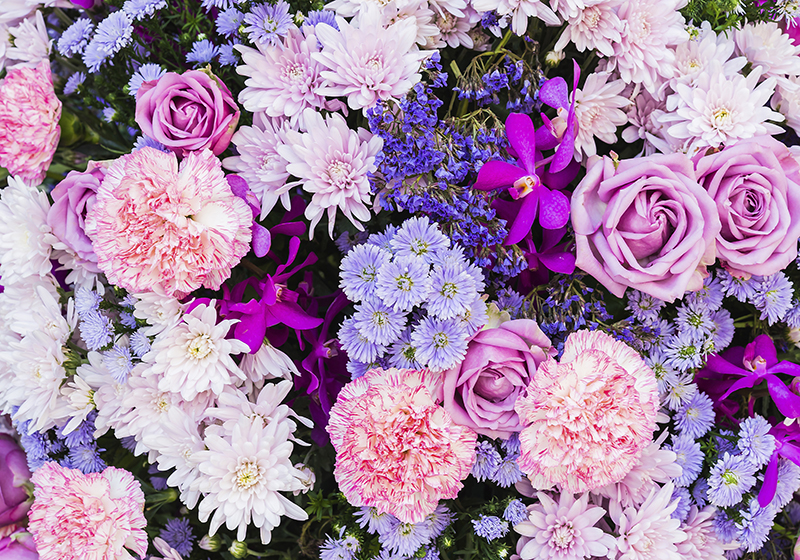 Purple rug floral wallpaper - TenStickers