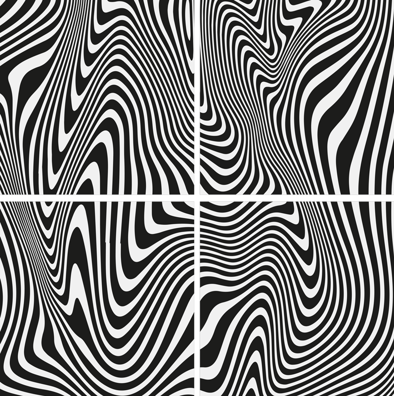 Black rug with zebra 3d effect - TenStickers