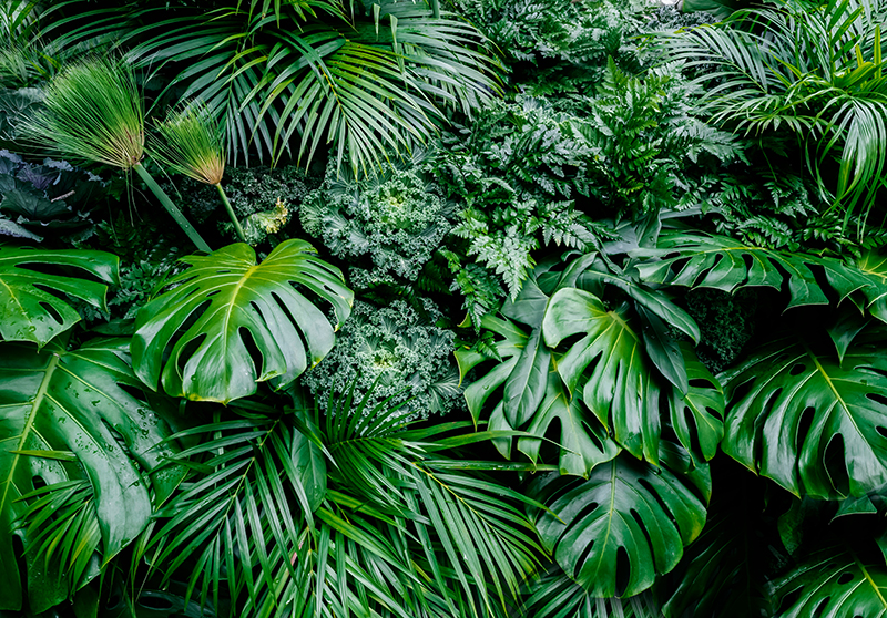 Green rug in a sunny jungle design - TenStickers