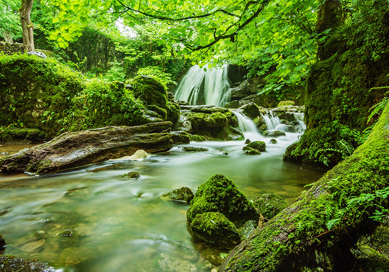Green rug serene waterfall - TenStickers