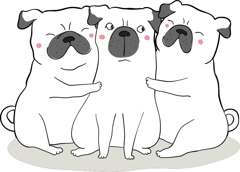 3 friendly pugs animal vinyl rug - TenStickers