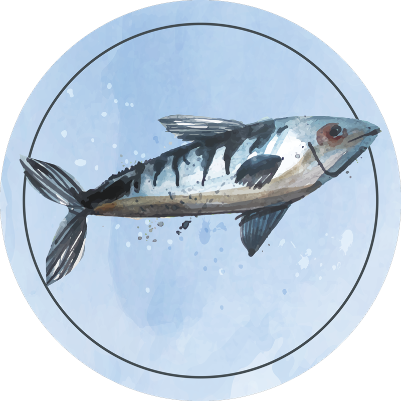 Aquatic Exploration animal mat - TenStickers