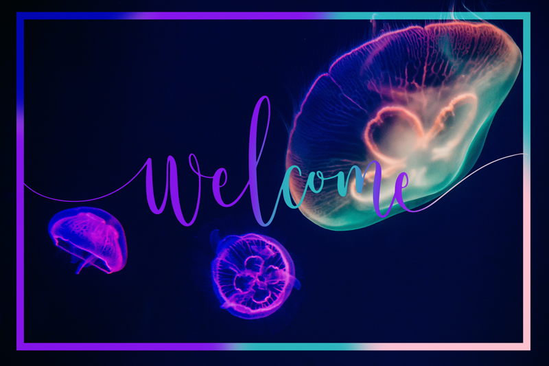 Jellyfish Welcome animal mat - TenStickers