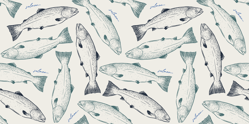 Fish Illustration animal mat - TenStickers