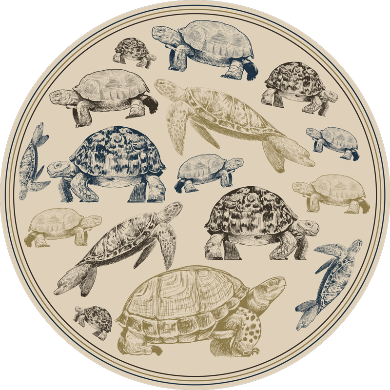 Turtle Illustrations animal mat - TenStickers