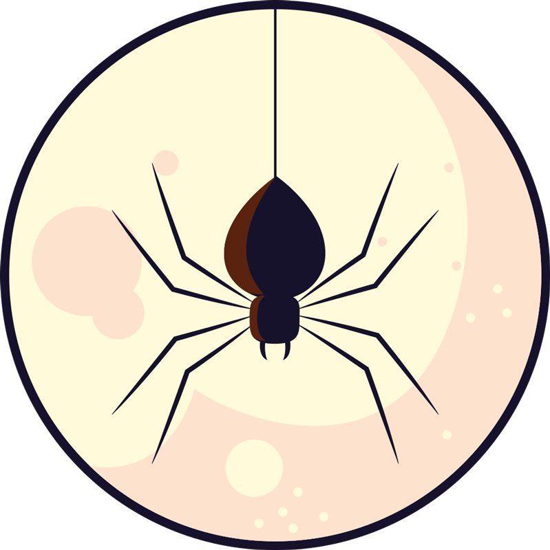 Spider Illustration halloween rugs - TenStickers