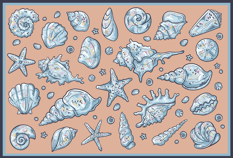 Seashell Illustrations nature rug - TenStickers