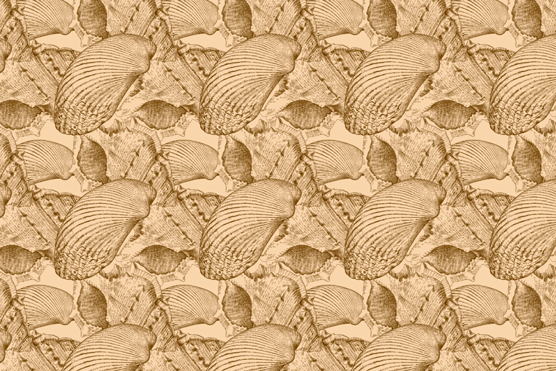 Illustrated Shell Pattern animal mat - TenStickers