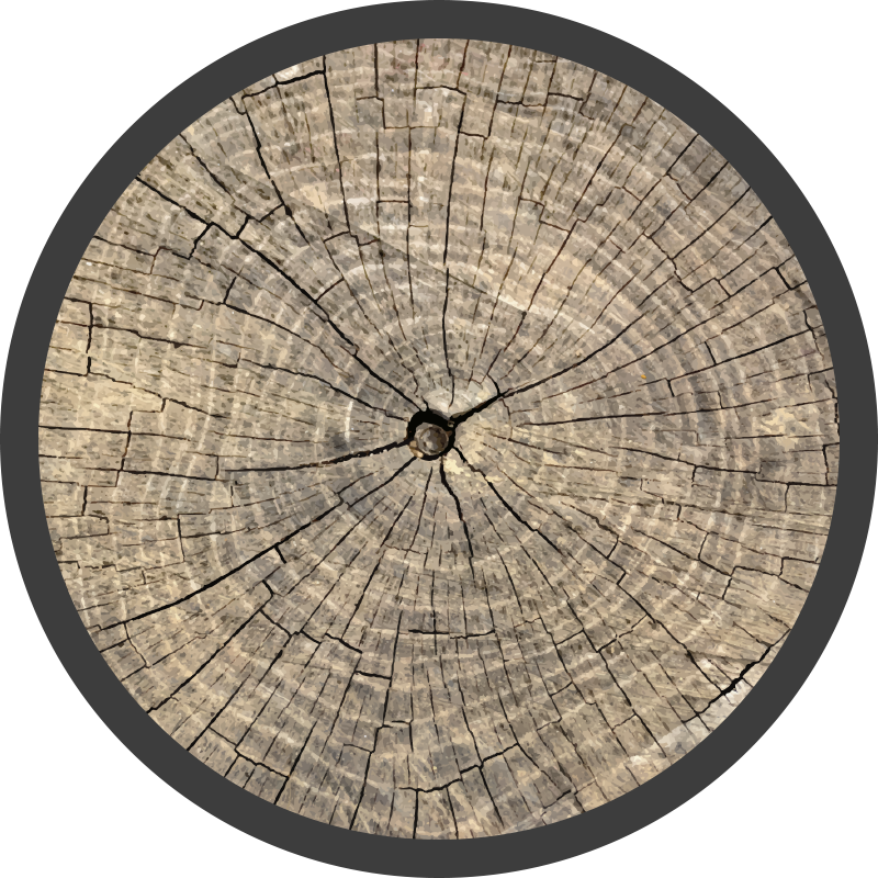 Log Cross-Section wood effect rug - TenStickers