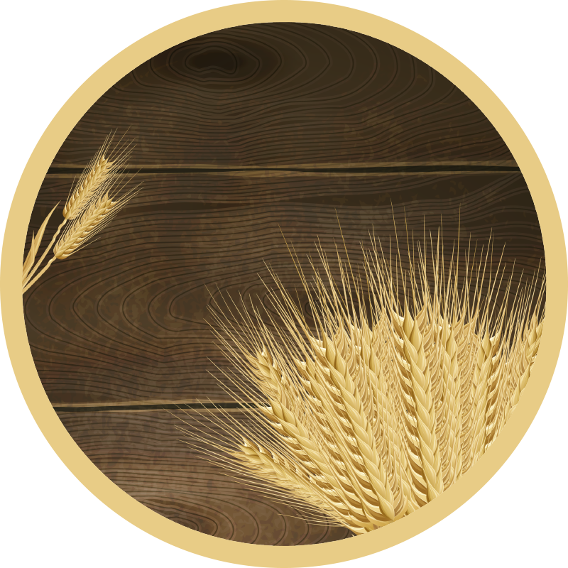 Golden Wheat Sprigs nature rug - TenStickers