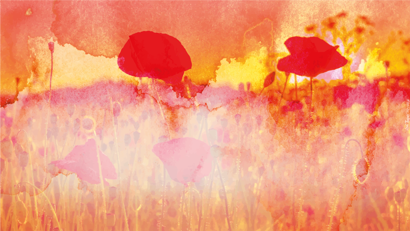 Abstract Meadow nature rug - TenStickers