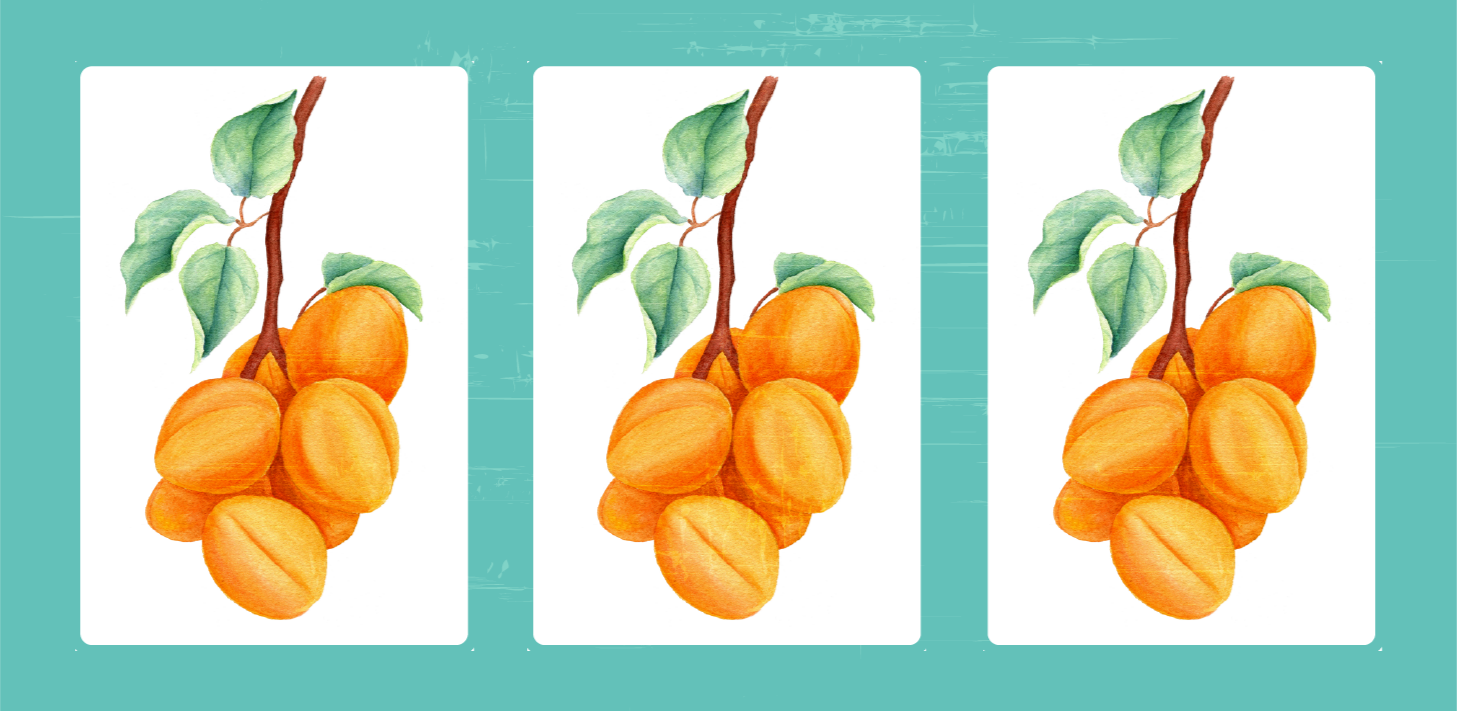 Retro apricot nature rug design - TenStickers