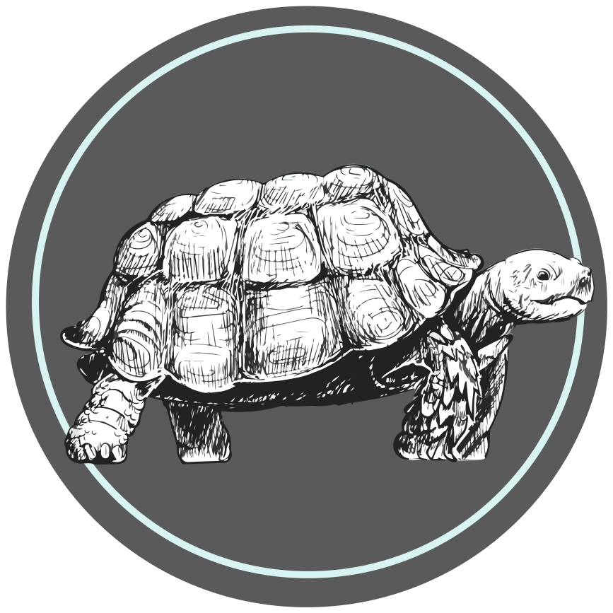 Illustrated Tortoise animal mat - TenStickers
