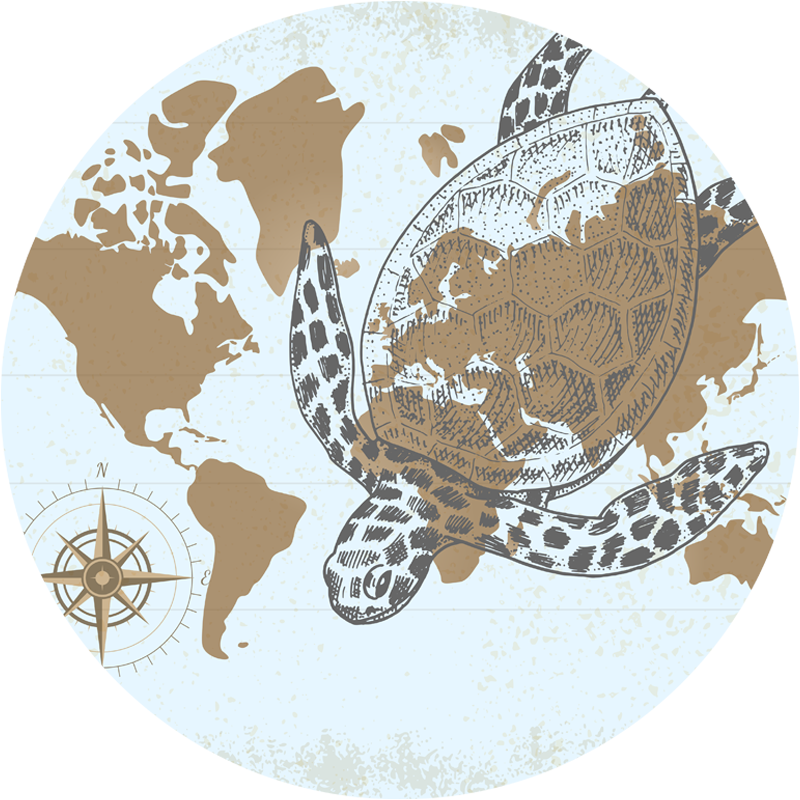 Turtle Compass Map map rug - TenStickers