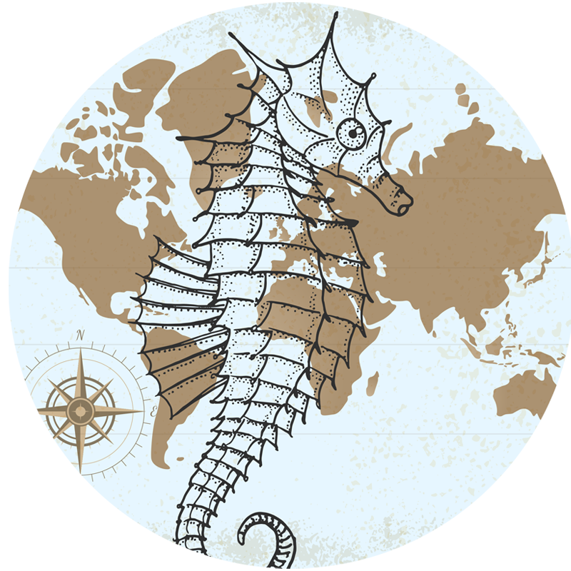Seahorse Nautical Map animal mat - TenStickers