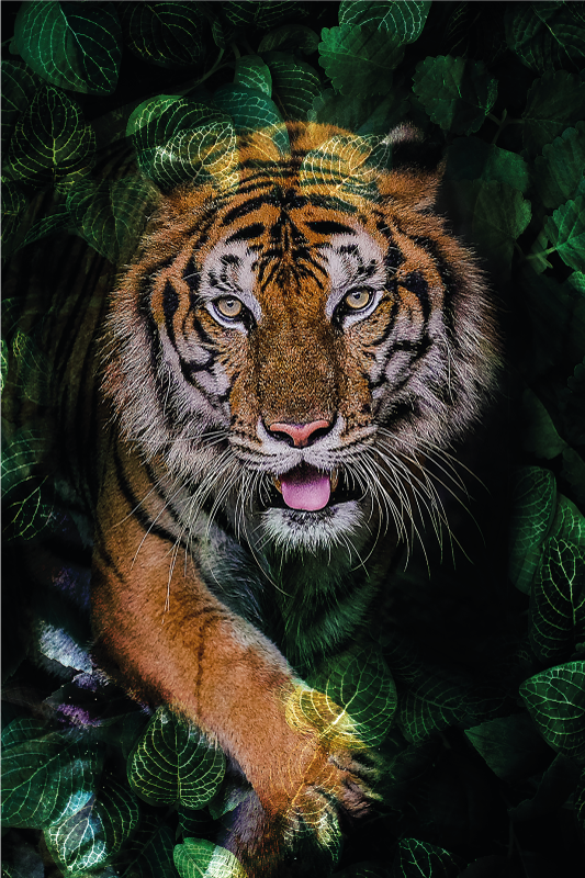 Tiger Foliage Portrayal animal mat - TenStickers