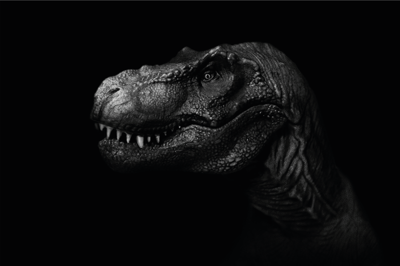Tyrannosaurus Portrait animal mat - TenStickers
