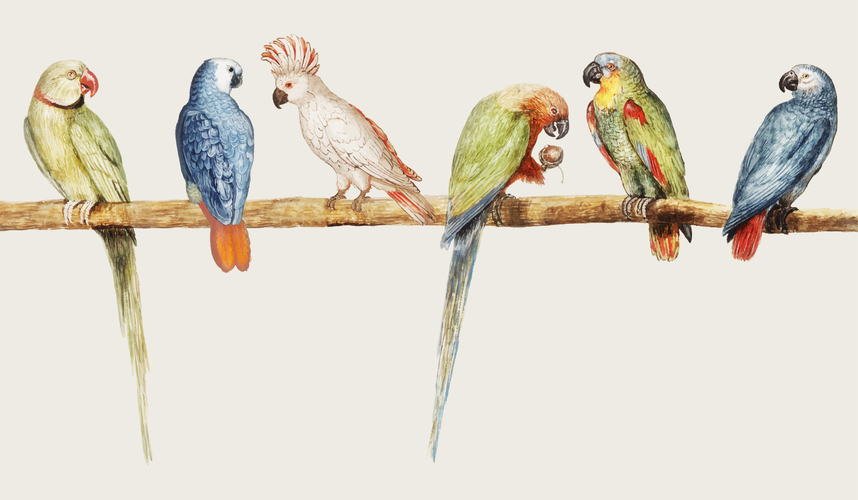 Modern gray with birds and branches floral rug - TenStickers