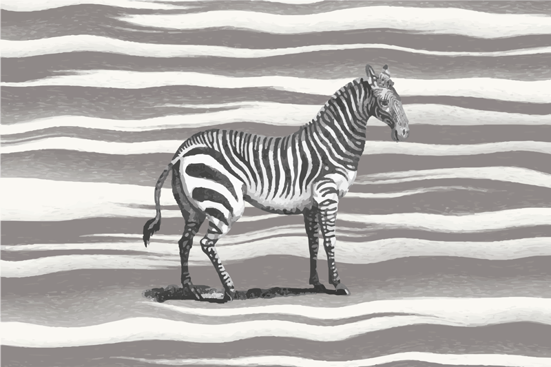 Zebra Striped animal print rug - TenStickers
