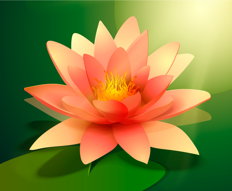 Blooming Lotus floral rug - TenStickers