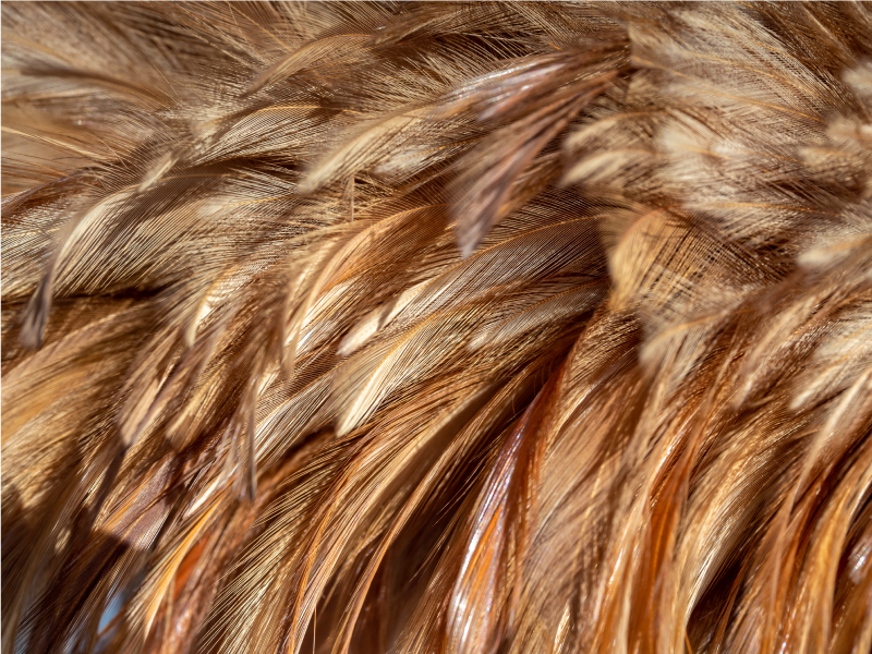 Swirling Fur animal print rug - TenStickers