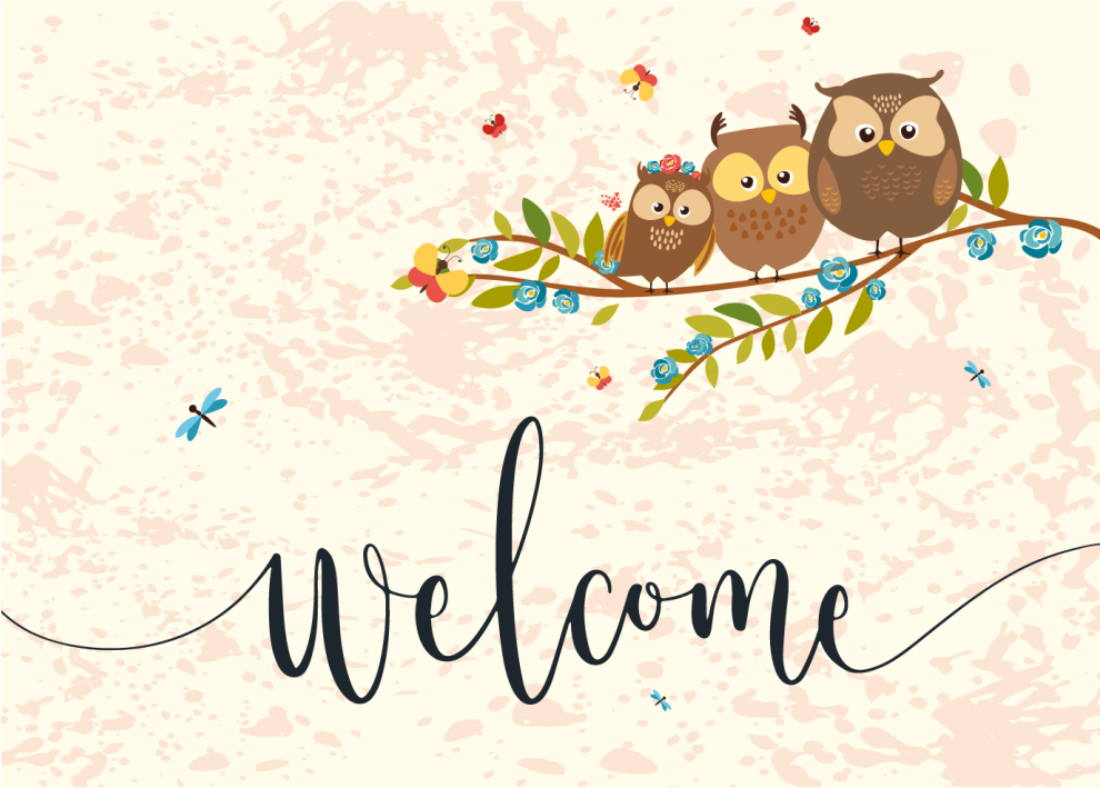Welcoming Owls Graphic animal mat - TenStickers