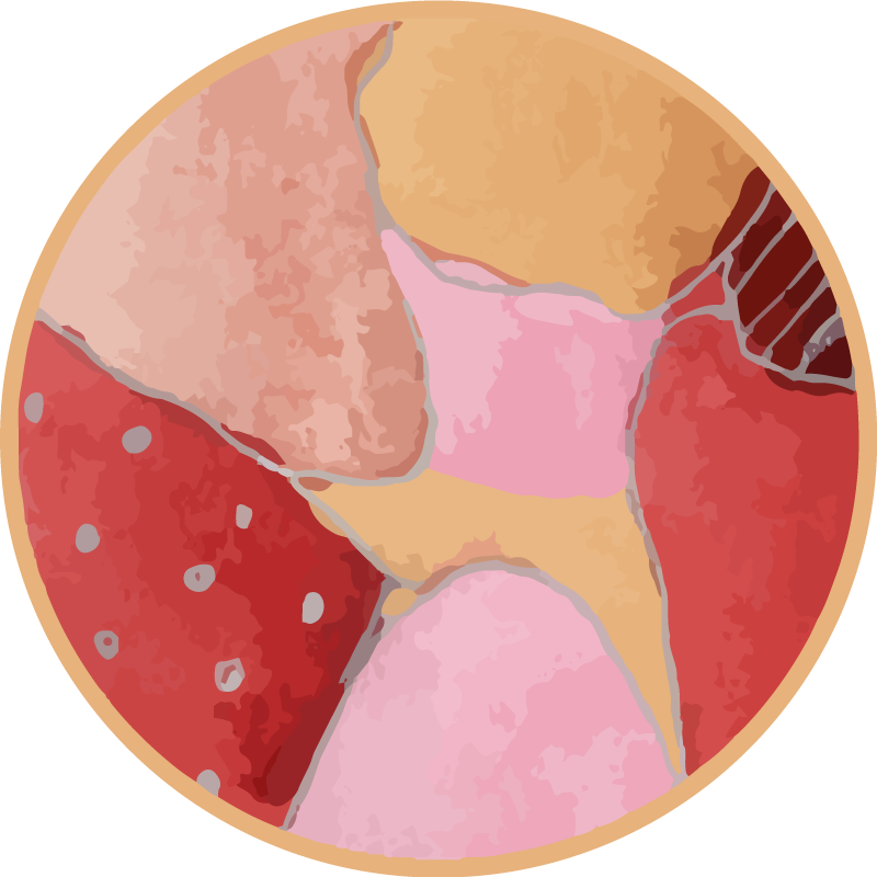 Vibrant Floral Motifs entrance hall rug - TenStickers