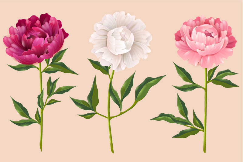 Elegant trio arrangement bathroom mat - TenStickers