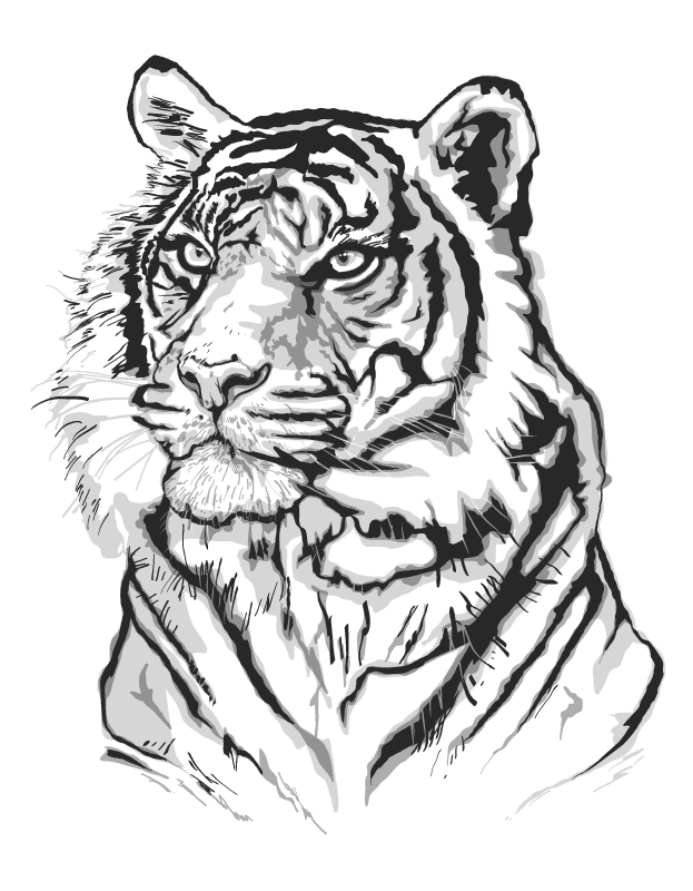 TIGER ARTISTIC PORTRAIT animal print rug - TenStickers
