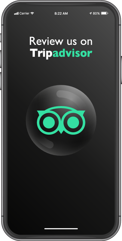 Review us trip advisor custom rug - TenStickers